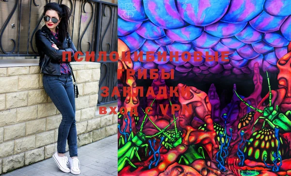 тгк Медвежьегорск