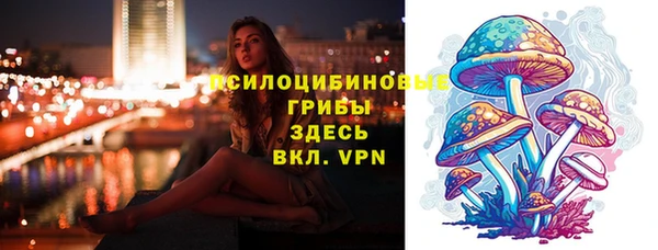 тгк Медвежьегорск