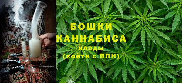 МДПВ Медногорск