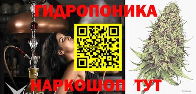 стаф Пыть-Ях