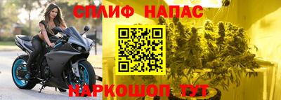 стаф Пугачёв