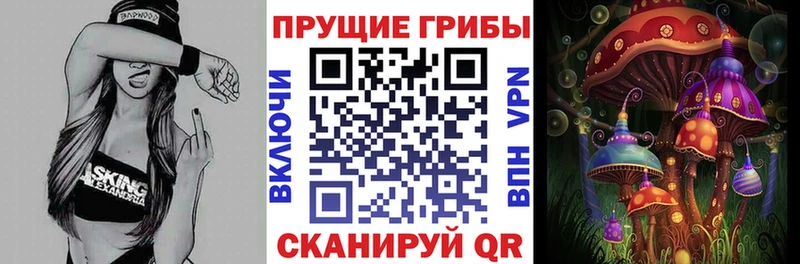Галлюциногенные грибы Magic Shrooms  OMG зеркало  это наркотические препараты  купить закладку  Тейково 