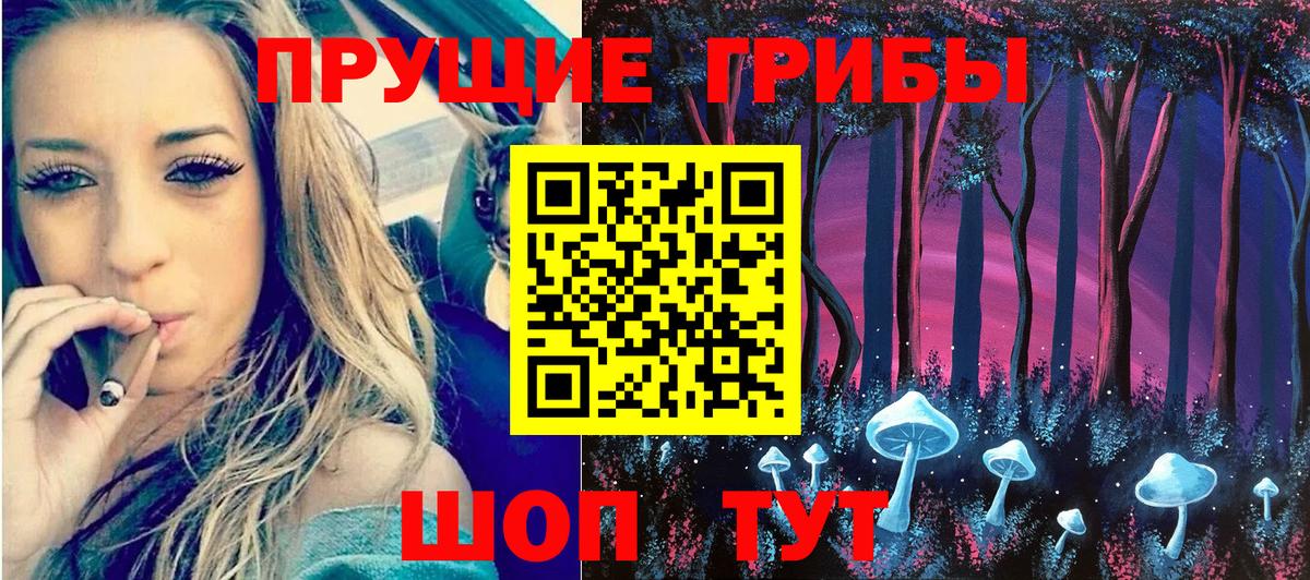 Галлюциногенные грибы Psilocybe  Псилоцибиновые грибы мицелий  Тейково  Вход с VPN 