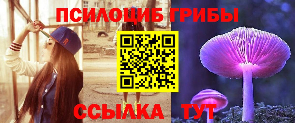 Псилоцибиновые грибы Cubensis Тейково