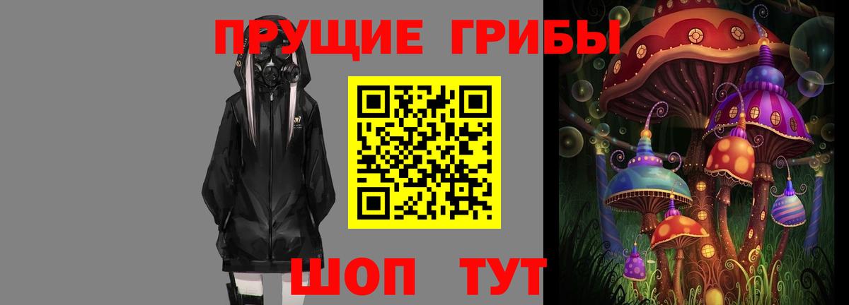 Псилоцибиновые грибы прущие грибы  Галлюциногенные грибы GOLDEN TEACHER  продажа наркотиков  Тейково 